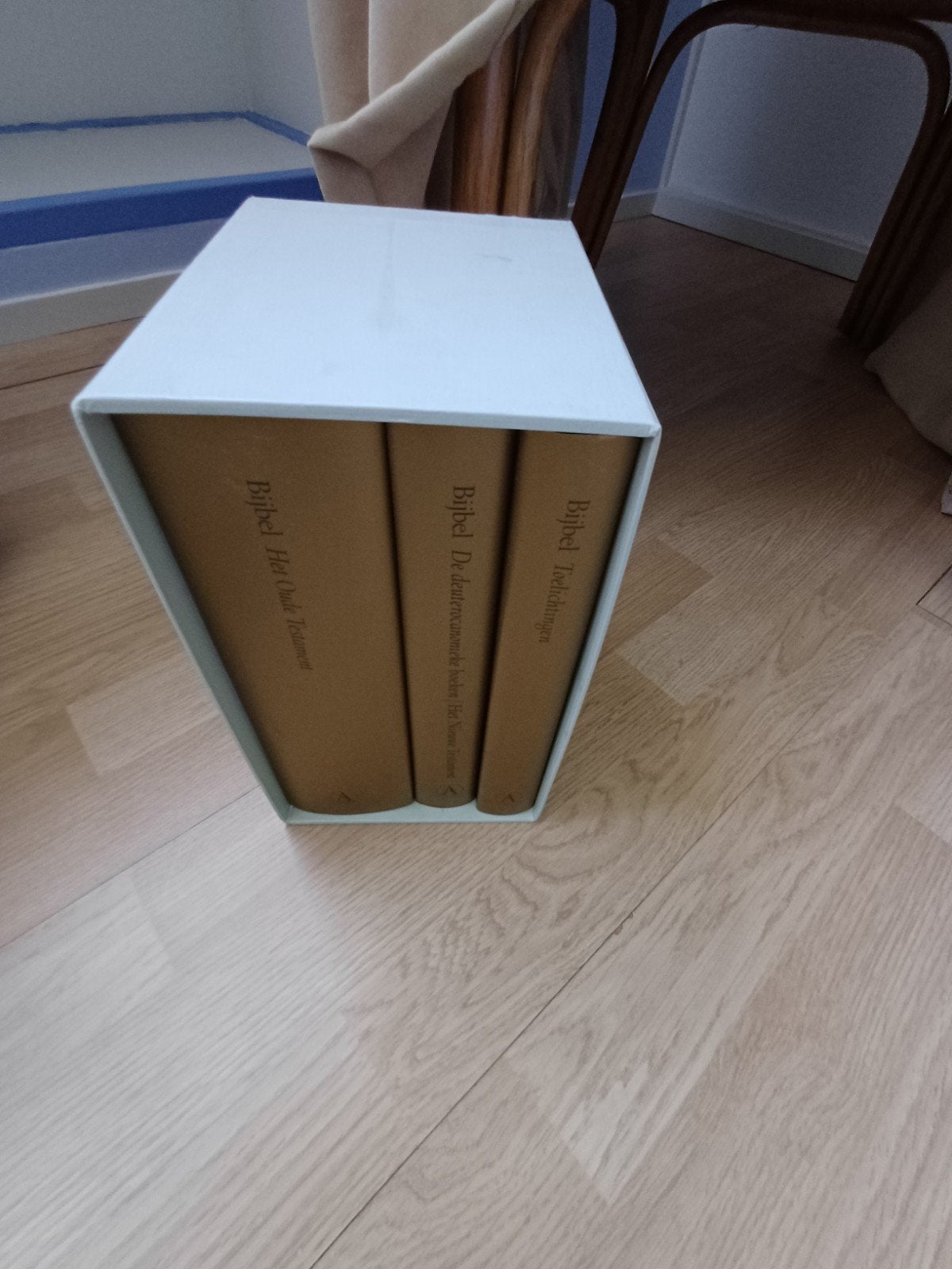 Bijbel met prenten van Gustave Doré, Boeken, Ophalen of Verzenden, Zo goed als nieuw