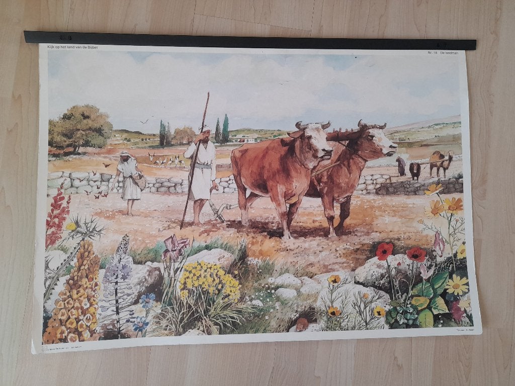 18 x SCHOOLPLAAT KIJK OP HET LAND VAN DE BIJBEL met boekje, Ophalen of Verzenden, Overige thema's