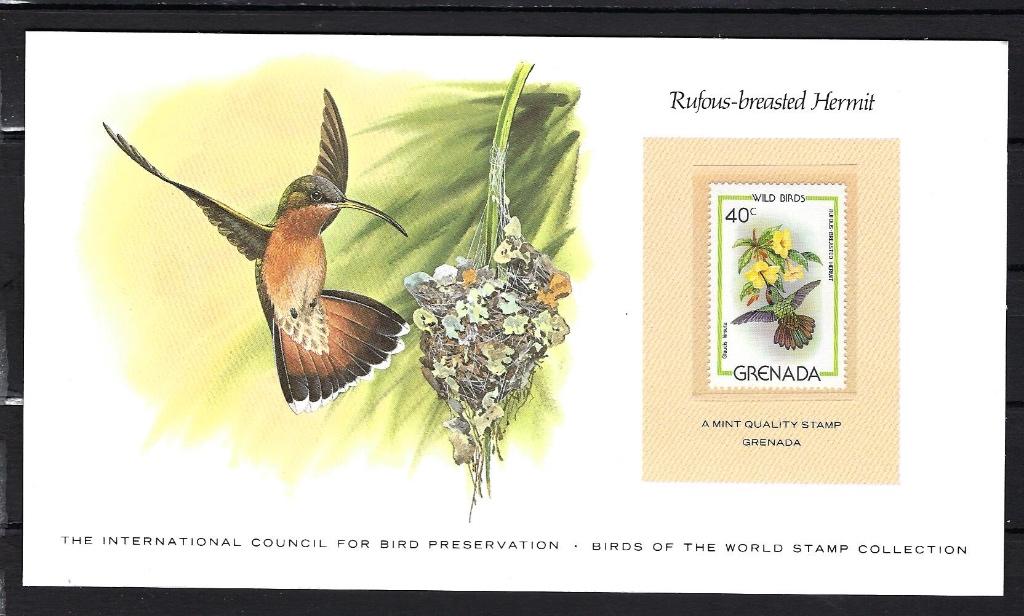 VOGELS kaart Bermuda Rufous-breasted Hermit zegel XX, Ophalen of Verzenden, Postfris, Dier of Natuur