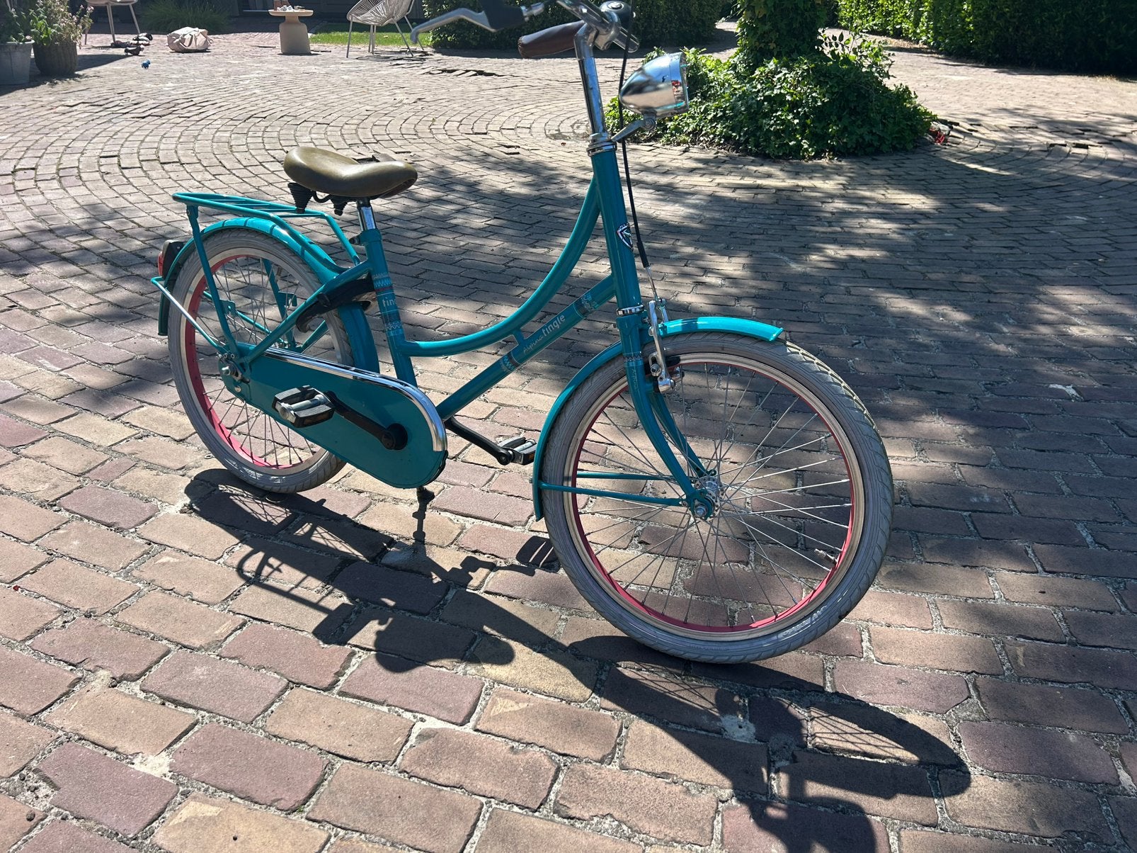 Alpina 20inch meisjes fiets, Minder dan 47 cm, Ophalen, Zo goed als nieuw