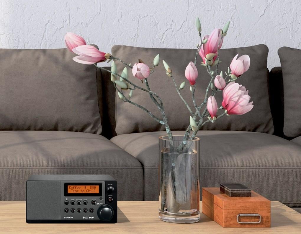 SANGEAN DDR-31+ FM & DAB+ Radio + Wekker    >>NIEUW<<, Ophalen of Verzenden, Nieuw, Radio