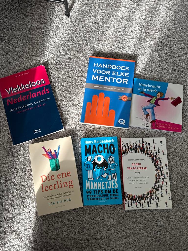 Diverse onderwijsboeken: Nederlands, mentorschap, veerkracht, Ophalen, Gelezen, Overige niveaus, Nederlands