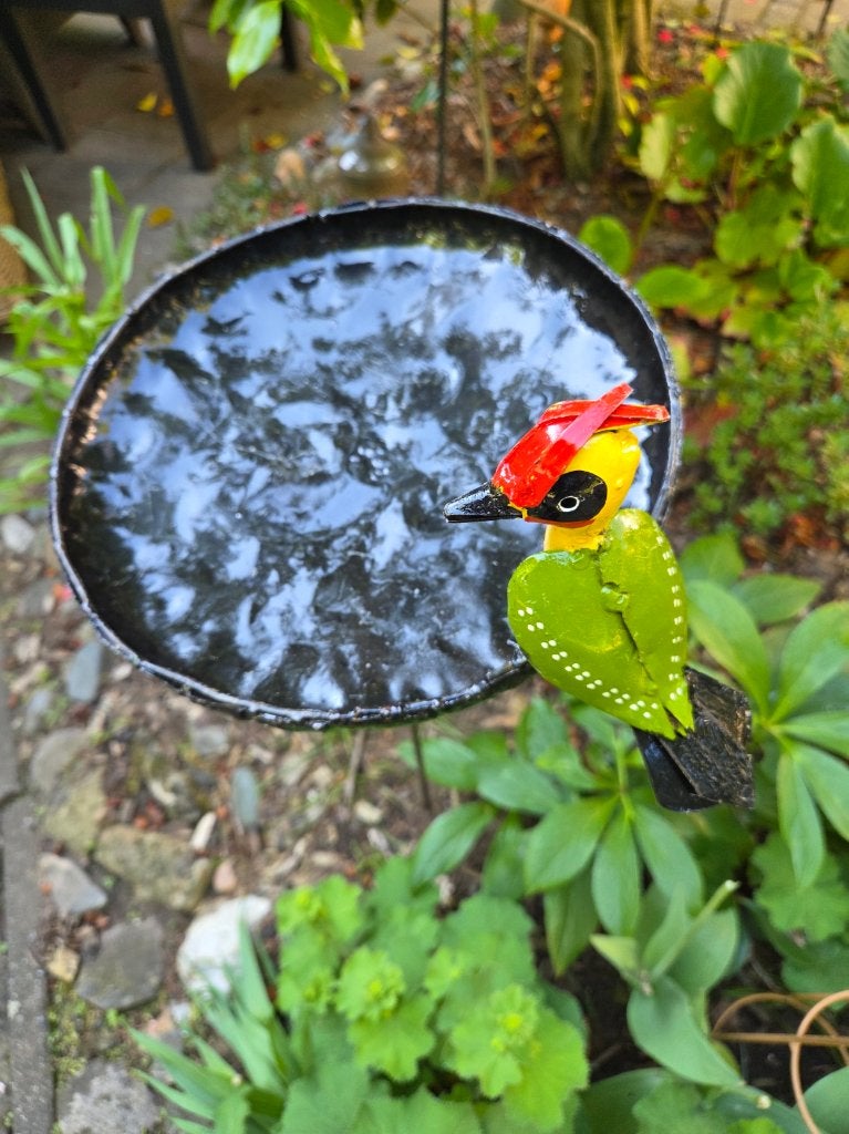 GROENE SPECHT OP VOER WATERSCHAAL - FAIRTRADE - HANDGEMAAKT, Ophalen of Verzenden, Nieuw