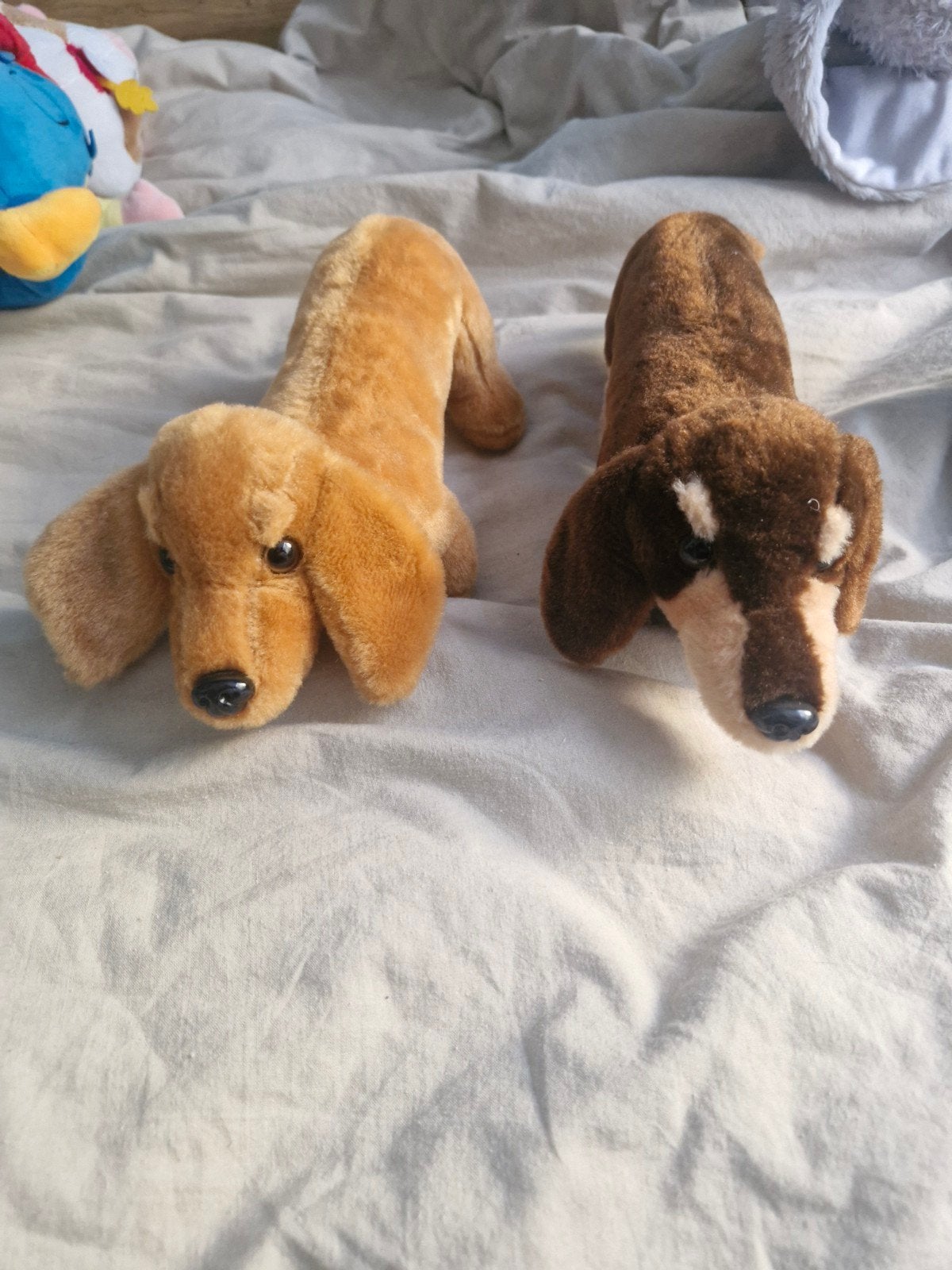 Ollie en Moos Teckel Knuffels - Zo goed als nieuw, Zo goed als nieuw, Middelgroot (20 tot 80 cm), Bruin, Hond