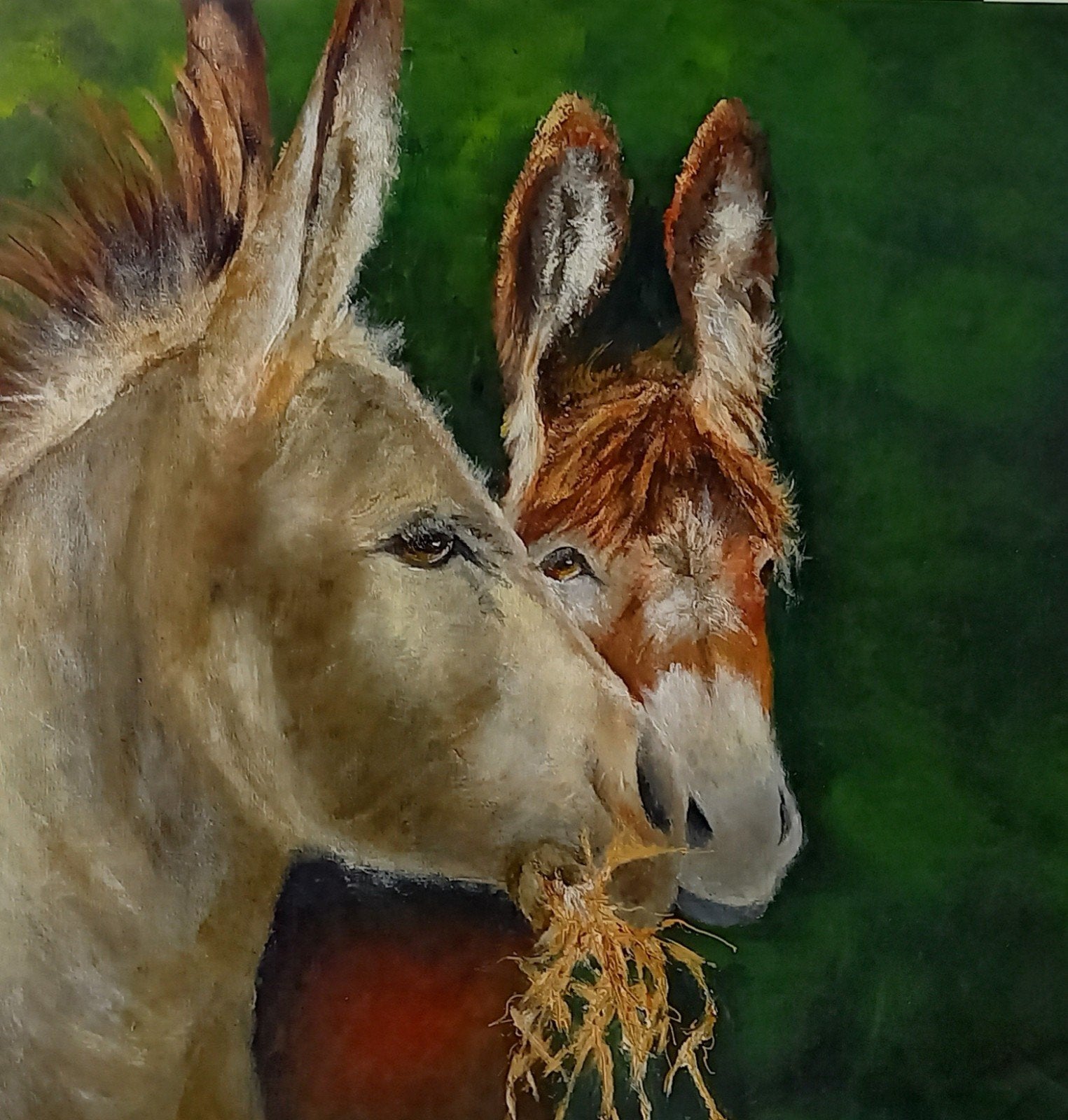 Prachtig geschilderde ezels op linnen, 90x90 cm, Antiek en Kunst, Kunst | Schilderijen | Klassiek, Ophalen of Verzenden
