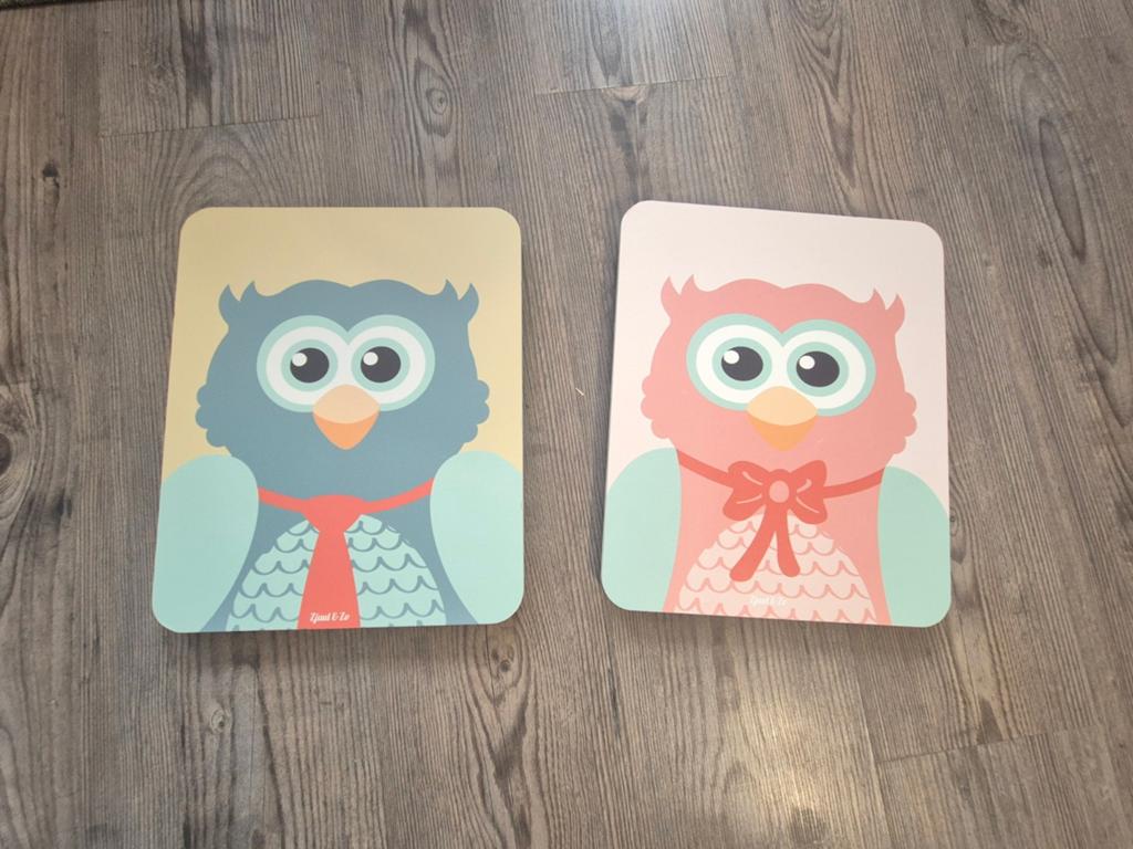 Leuke uilen schilderijen voor de kinderkamer (set van 2), Minder dan 50 cm, Gebruikt, Ophalen of Verzenden, Schilderij