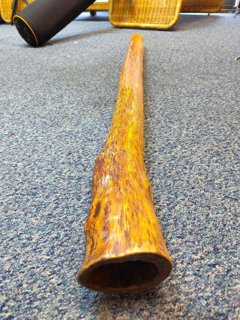 Toffe Eucalyptus didgeridoo D / G#, Muziek en Instrumenten, Blaasinstrumenten | Didgeridoos, Gebruikt, Ophalen