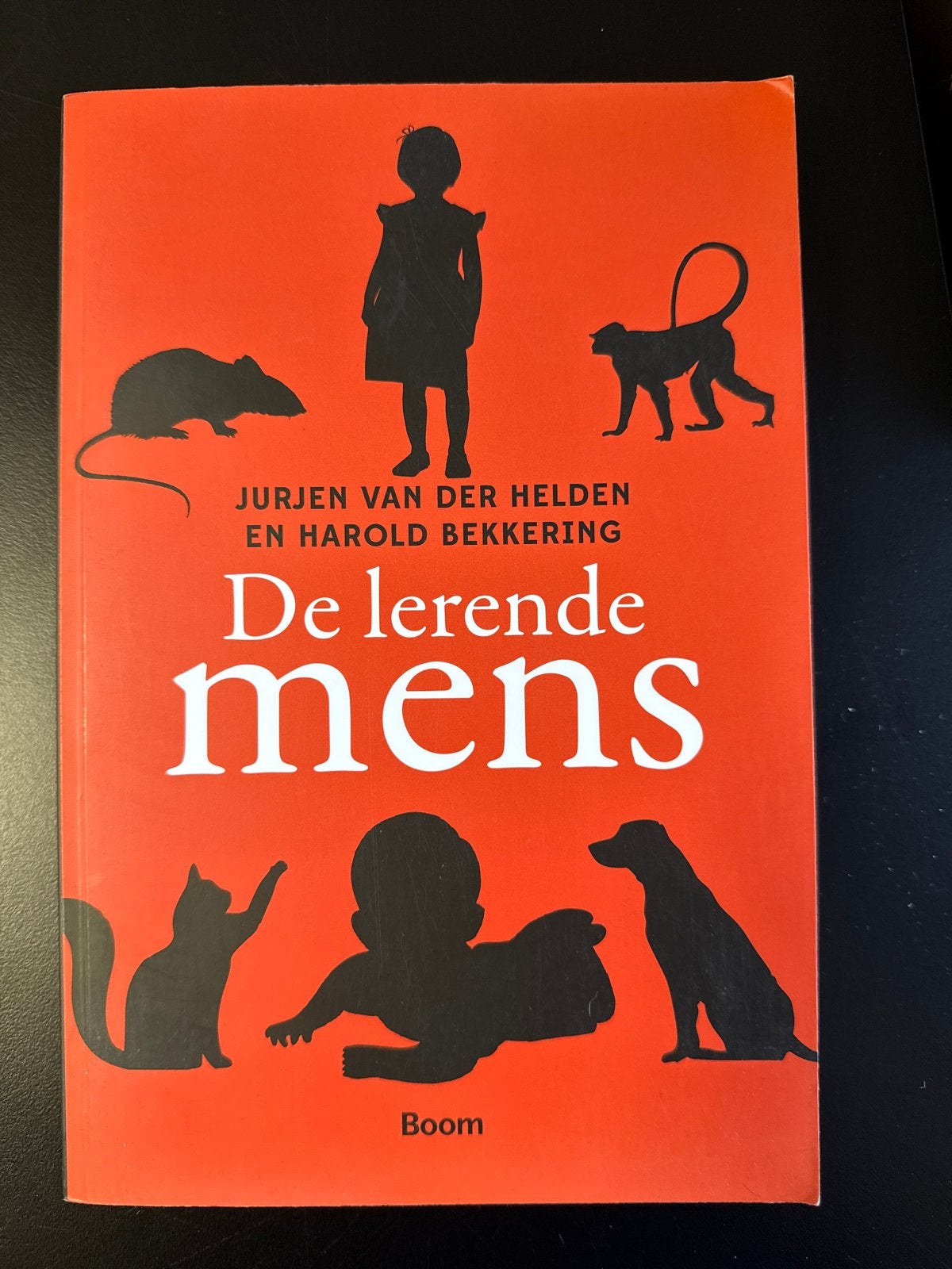 Harold Bekkering - De lerende mens, Sociale psychologie, Nieuw, Ophalen of Verzenden, Harold Bekkering; Jurjen van der Helden