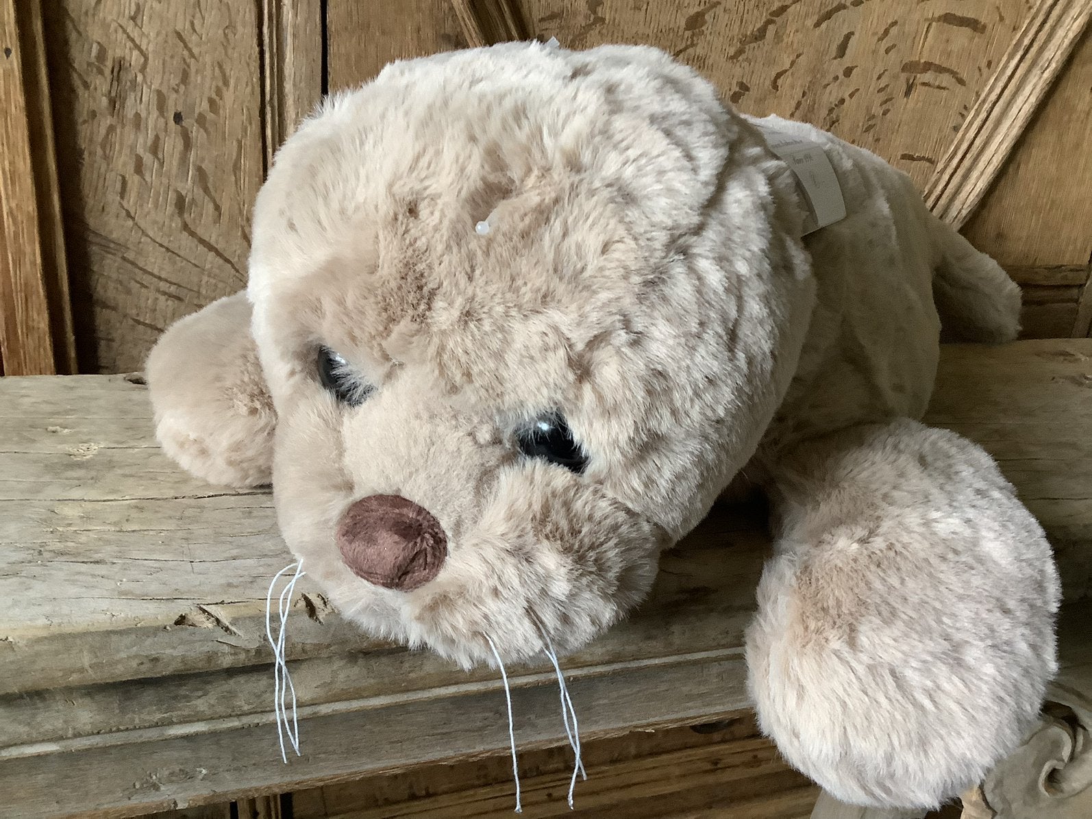 NIEUW Bukowski knuffel pluche zeehond HOOVER 40 cm, Kinderen en Baby's, Ophalen of Verzenden, Nieuw