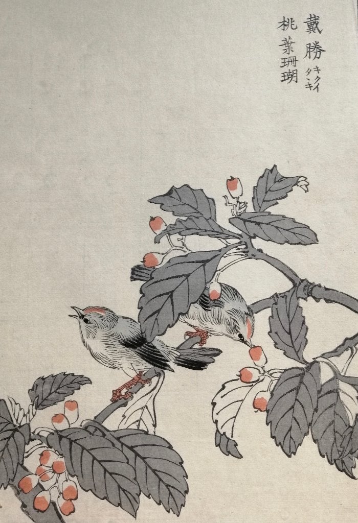 Japanse houtsnede van Kono Bairei - Vogel no. 3, Antiek en Kunst, 1800 - 1899, Ophalen of Verzenden, Flora en Fauna, Houtsnede