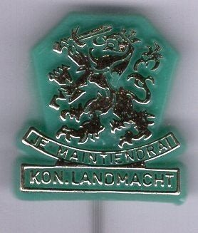 Nat. Kath. Thuisfront goud op groen plastic speldje( P_069), Verzamelen, Verzenden, Zo goed als nieuw, Stad of Land, Speldje of Pin