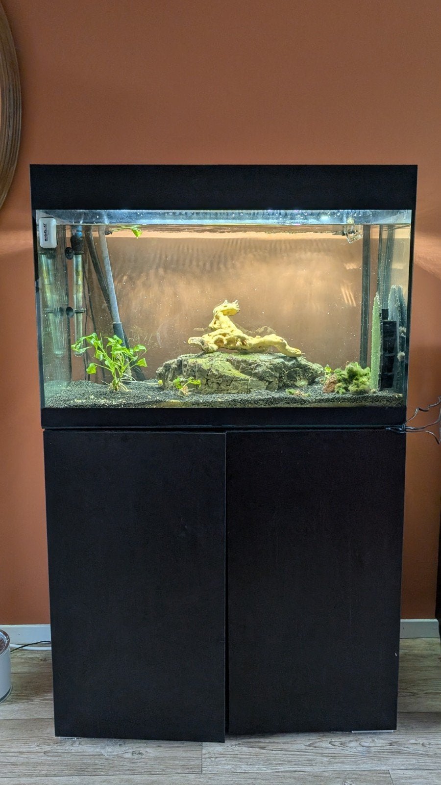 Oase 160L aquarium, met Oase Filtersmart300!, Ophalen, Gebruikt, Leeg aquarium