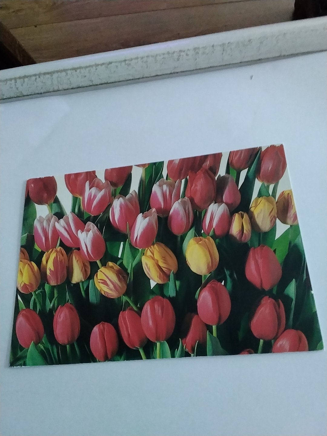 Vintage ansichtkaart tulpen - Paul Huf 1984, Ophalen of Verzenden, 1980 tot heden, Ongelopen