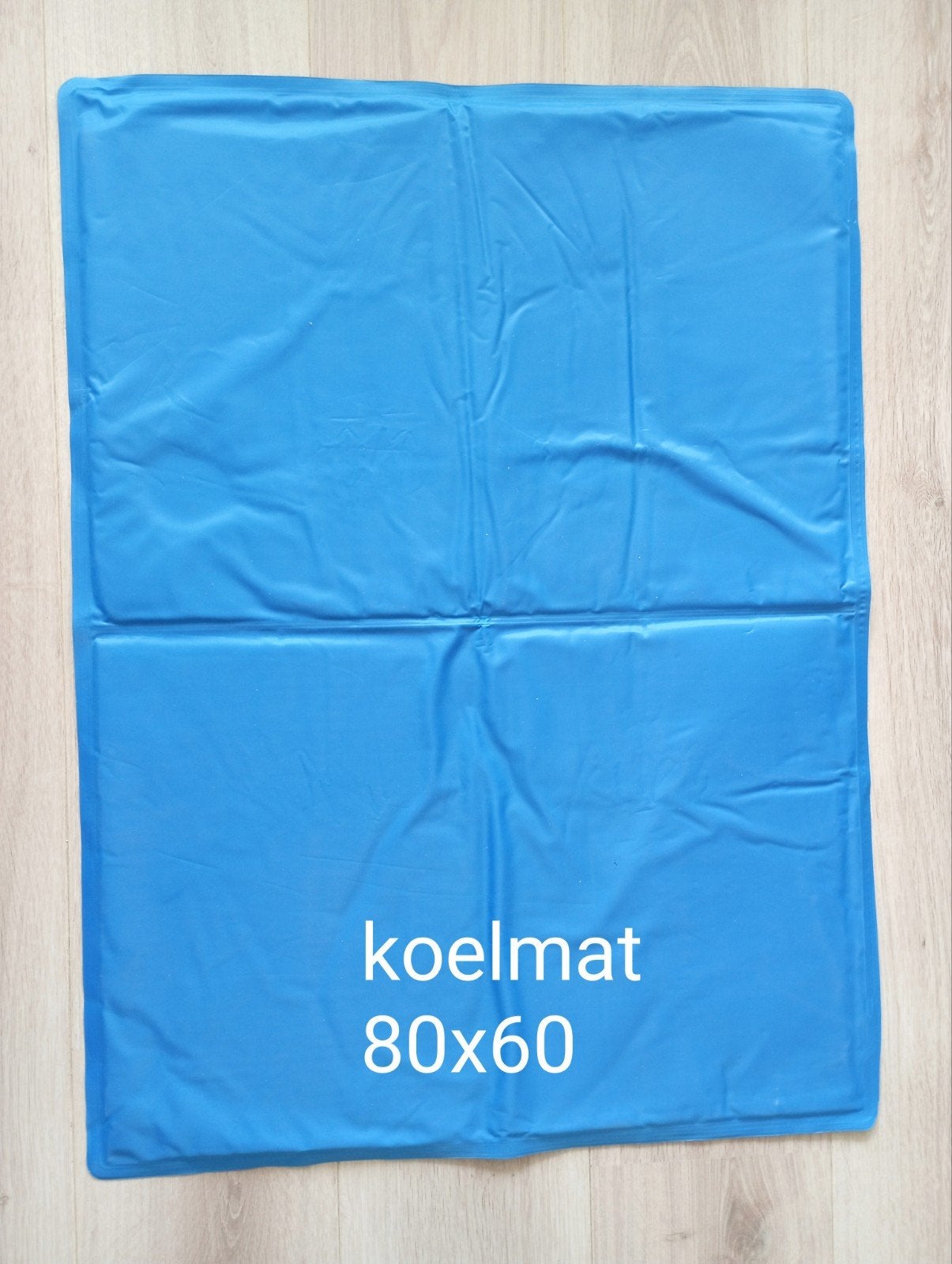 Grote Koelmat voor honden & katten 80x60 cm, Ophalen of Verzenden, Zo goed als nieuw