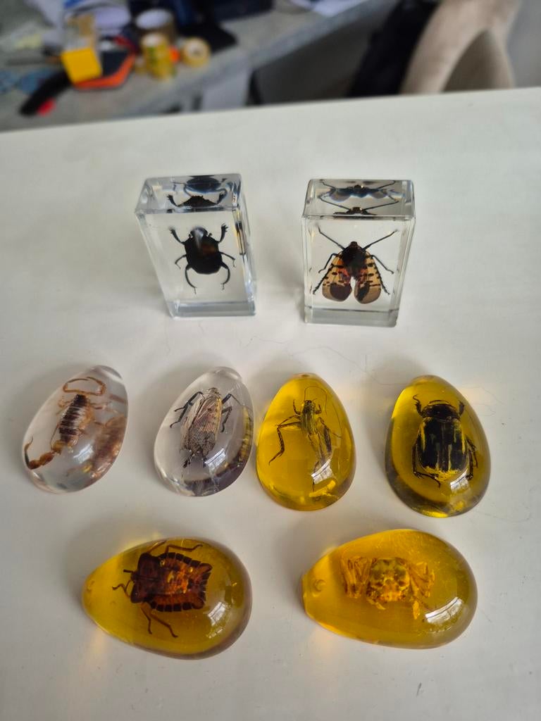 Insecten in hars, Verzamelen, Dierenverzamelingen, Ophalen of Verzenden, Beeldje of Figuurtje