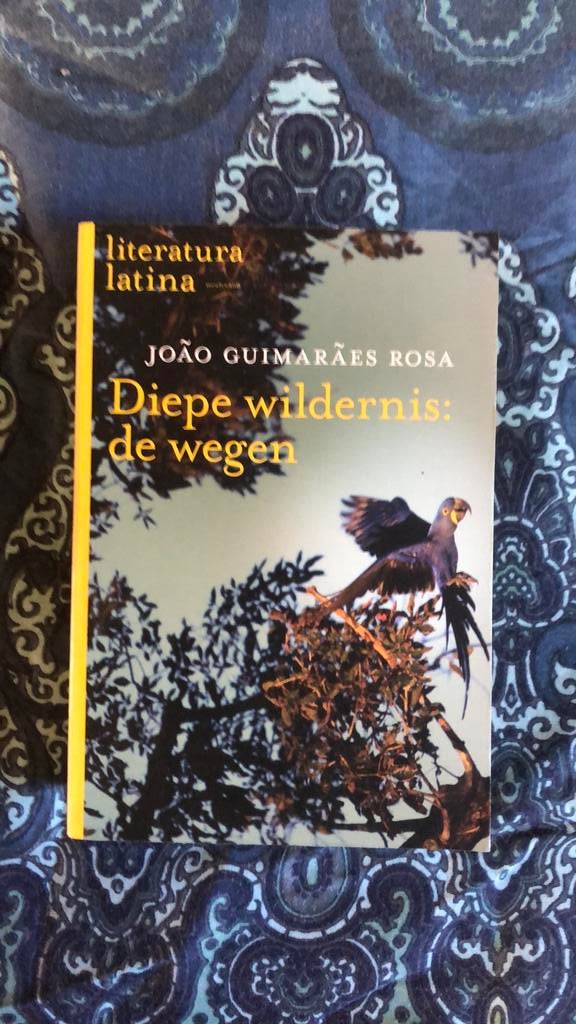 João Guimaraes Rosa - Diepe wildernis: de wegen, Ophalen of Verzenden, Zo goed als nieuw, J. Guimaraes Rosa