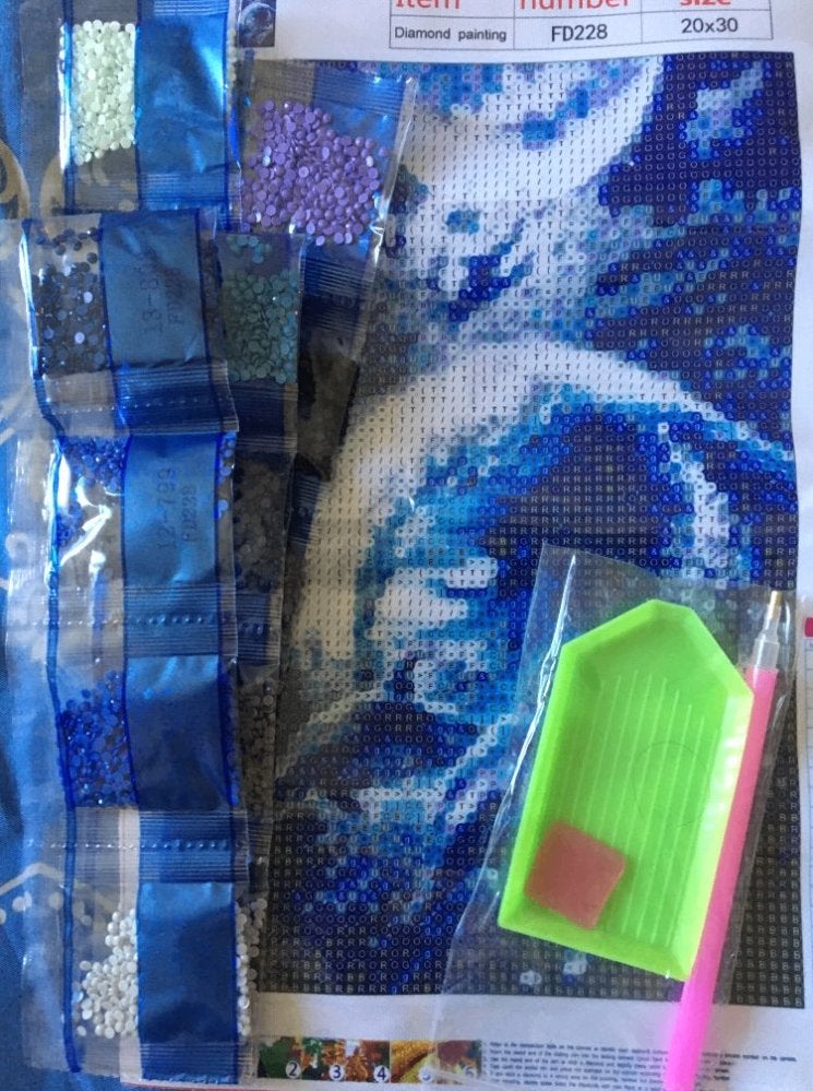 Diamond Painting Set - Dolfijnen 20x30cm / Diamant Steentjes, Hobby en Vrije tijd, Knutselen, Verzenden, Nieuw, Knutselwerk