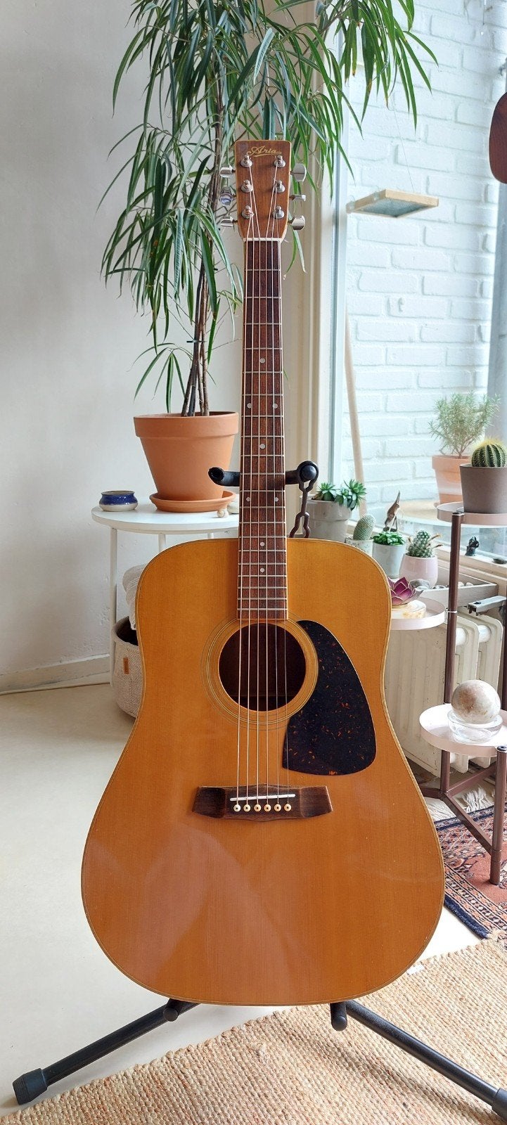 Aria lw-20 dreadnought gitaar, made in Japan.
