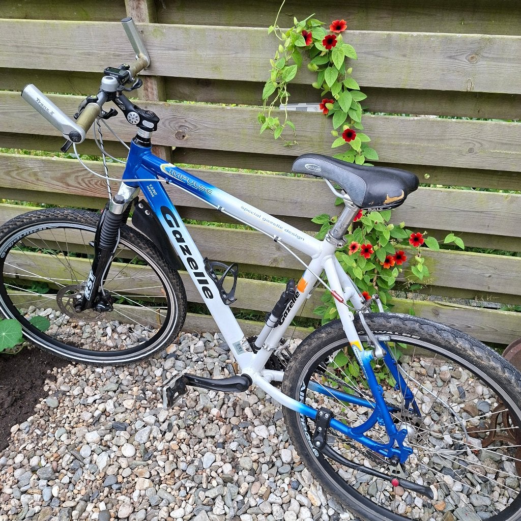 MTB, Ophalen, Gebruikt, Velgrem, Gazelle