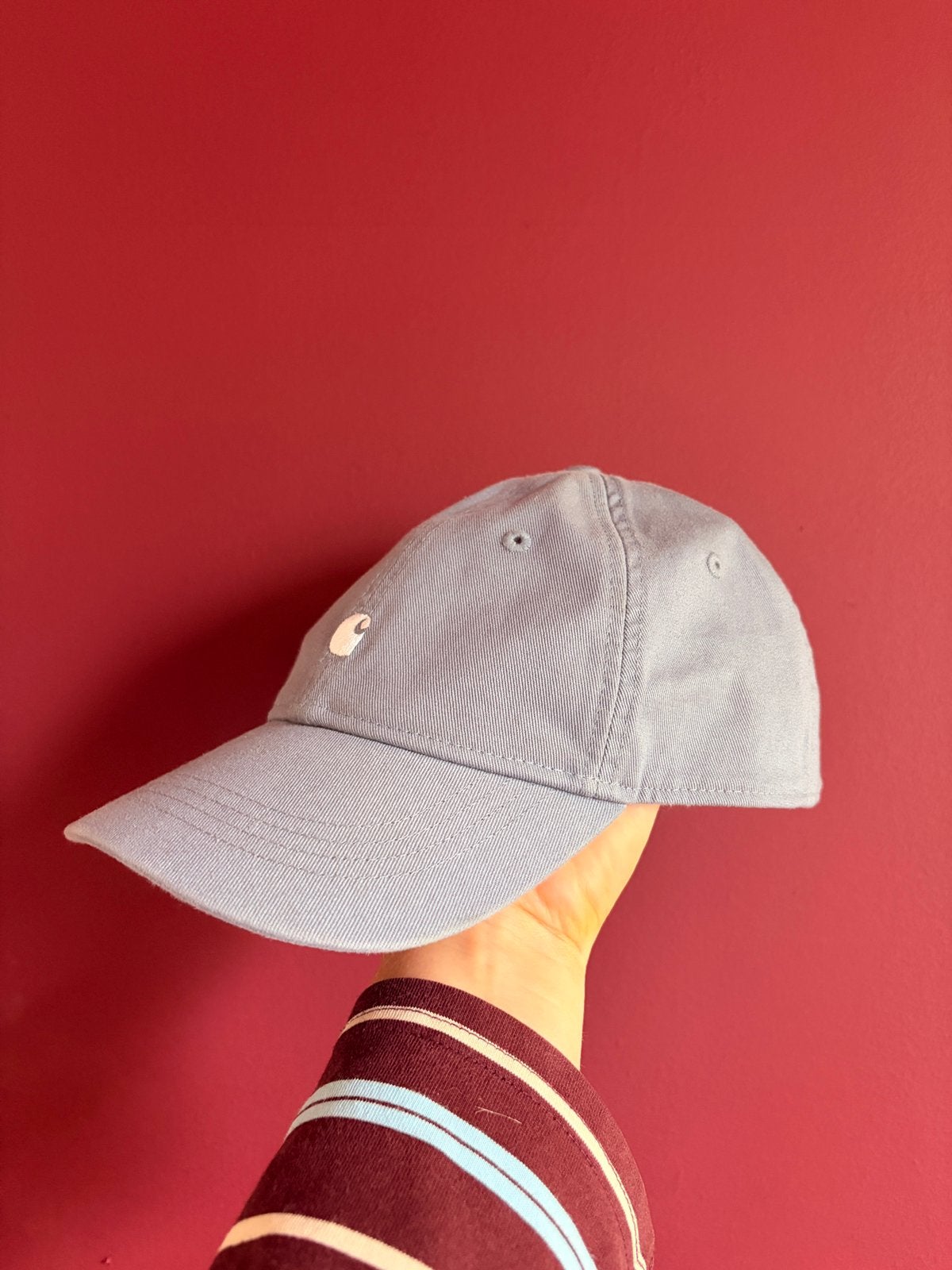 Carhartt pet, Ophalen of Verzenden, Zo goed als nieuw, One size fits all, Pet
