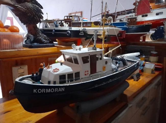 Prachtige roɓbe Kormoran RTR, Ophalen, Zo goed als nieuw, Groter dan 1:32, Overige merken
