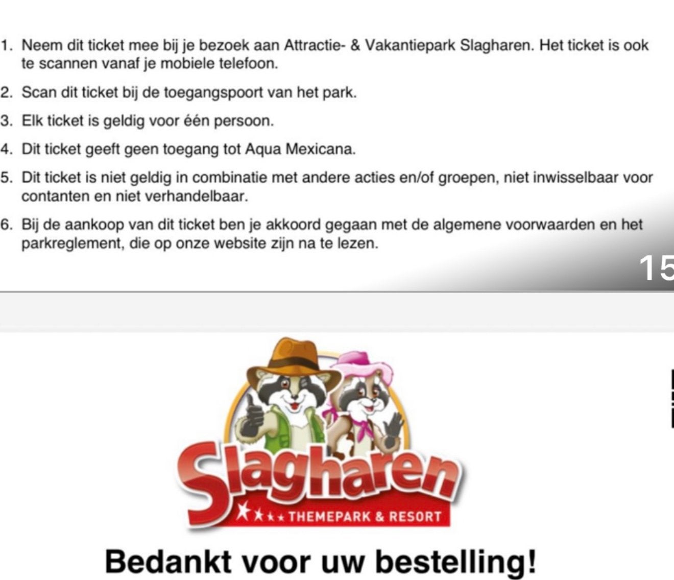 1 kaartje ponypark slagharen, Eén persoon, Ticket of Toegangskaart