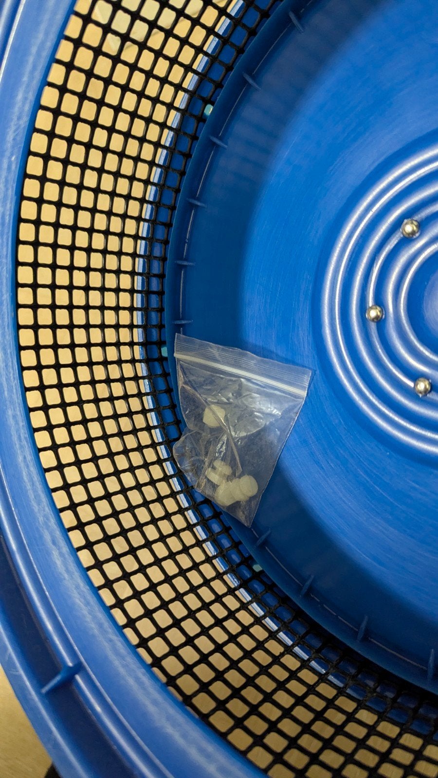 Silent Runner, Sugar Glider, Dieren en Toebehoren, Ophalen of Verzenden, Gebruikt