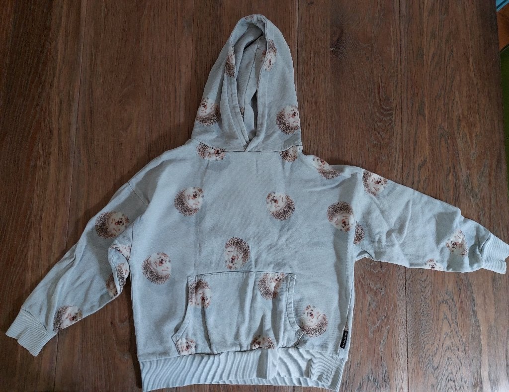 Sweater ‘Hedgy grey hoodie’ van Snurk – maat 128 (7-8 jaar), Ophalen of Verzenden, Gebruikt, Jongen of Meisje, Trui of Vest
