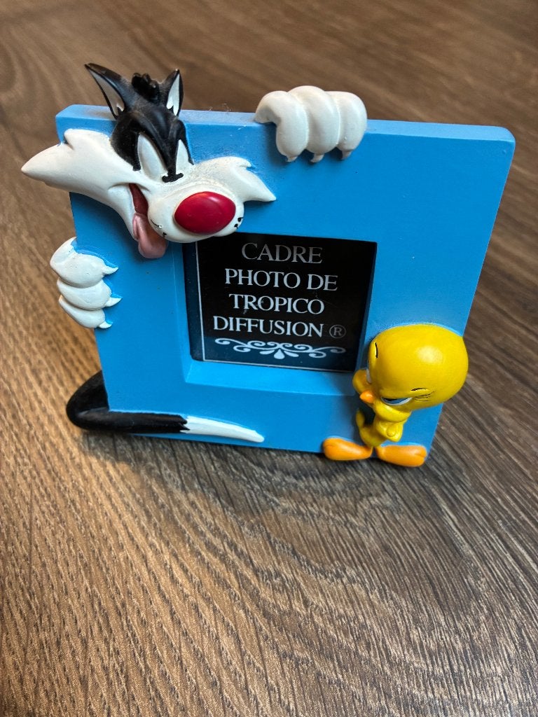 Looney Tunes - Pasfoto Houder, Blauw, Ophalen of Verzenden, Zo goed als nieuw, Fotolijst