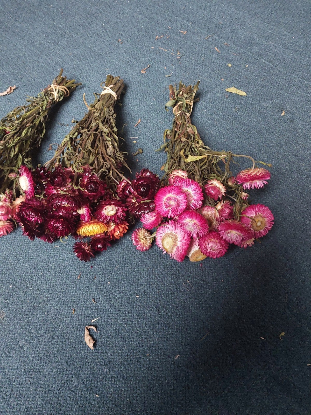 leuke droogbloemen, Ophalen of Verzenden, Nieuw