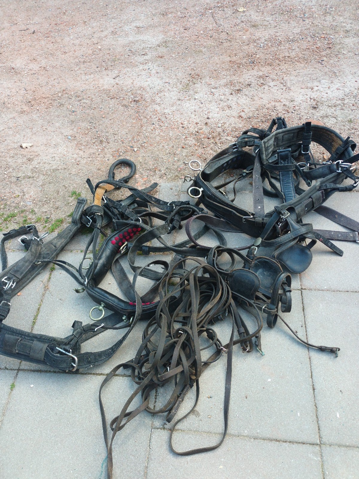 Te koop, Dieren en Toebehoren, Ophalen, Pony