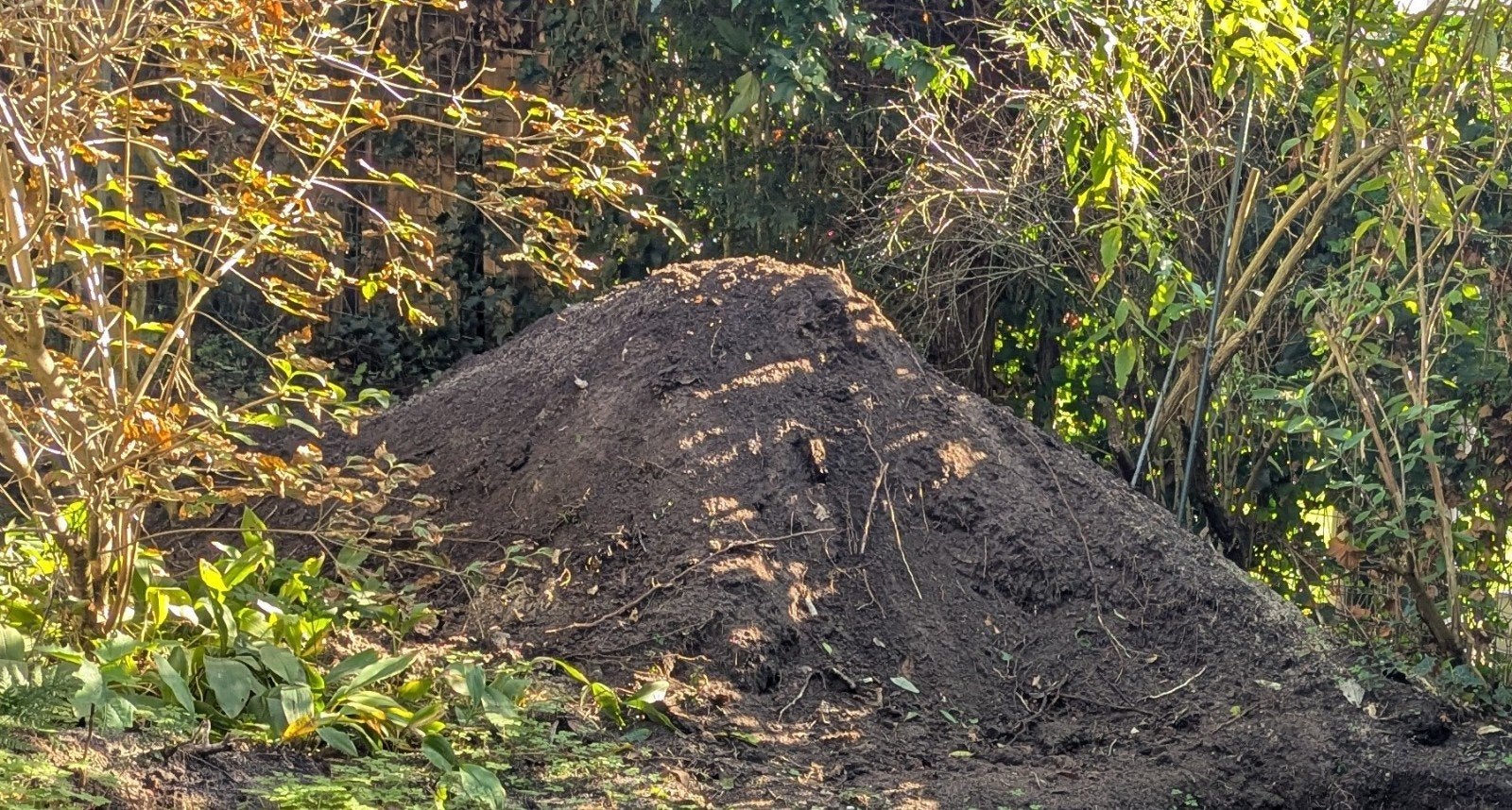 Gratis tuinaarde af te halen (ca. 2 kuub), Tuin en Terras, Ophalen, Tuinaarde