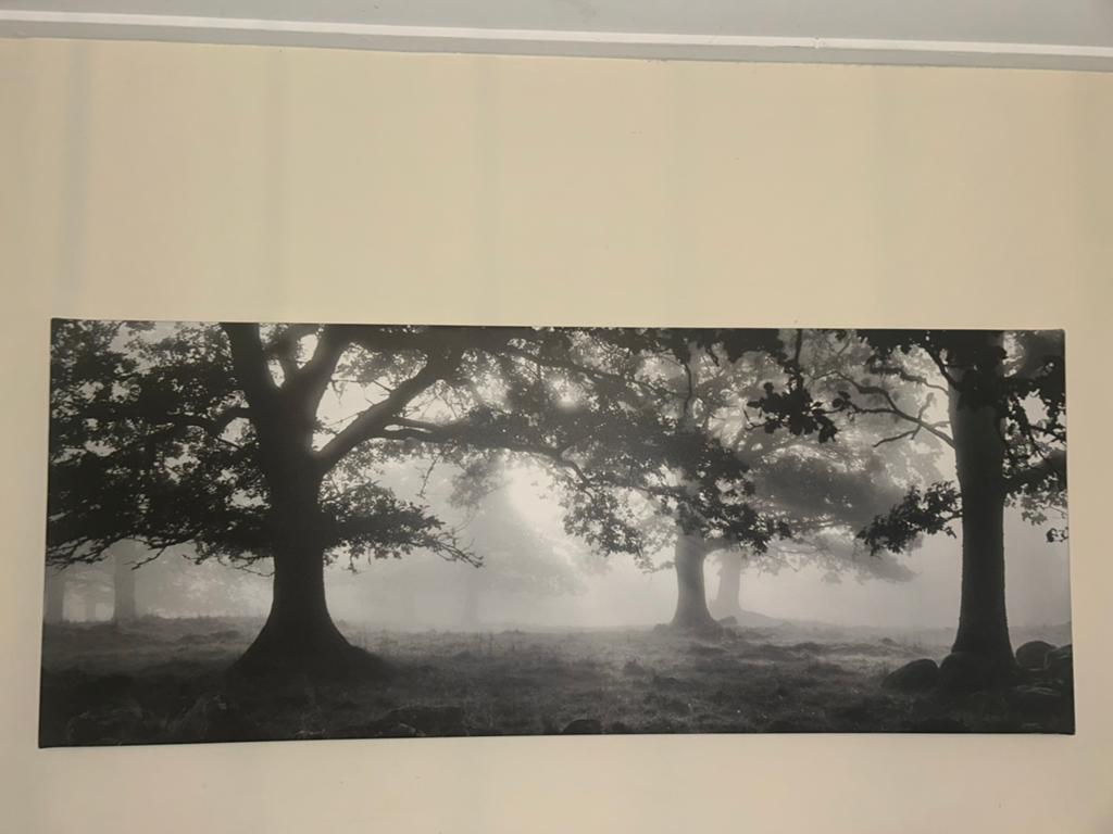 IKEA PJÄTTERYD Schilderij 'Mistig Bos' Zwart-Wit 140 x56, Ophalen of Verzenden, 1980 tot heden, Zo goed als nieuw