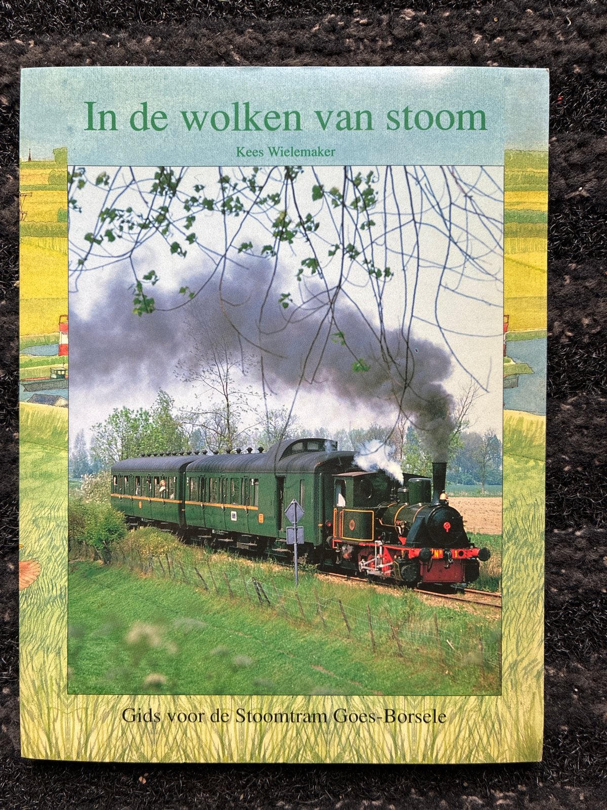 In de wolken van stoom - Gids Stoomtram Goes-Borsele, Boeken, Ophalen of Verzenden, Zo goed als nieuw, Overige typen