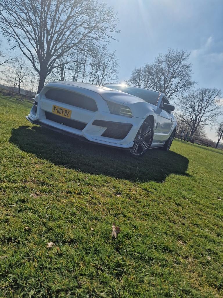 Ford Mustang Velgen, Ophalen of Verzenden