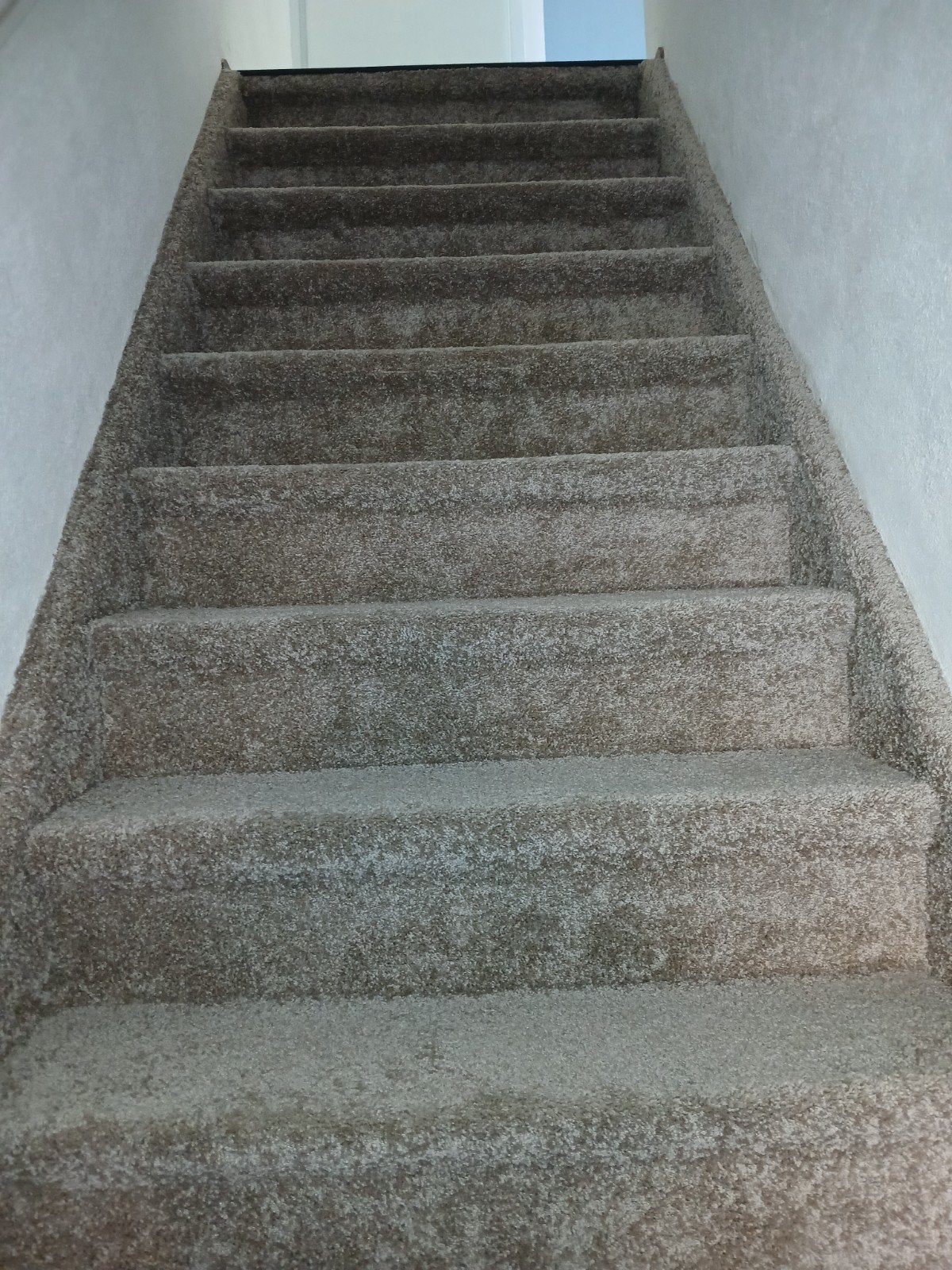 trap stofferen/ bekleden inclusief tapijt, Ophalen of Verzenden, Nieuw, Tapijt