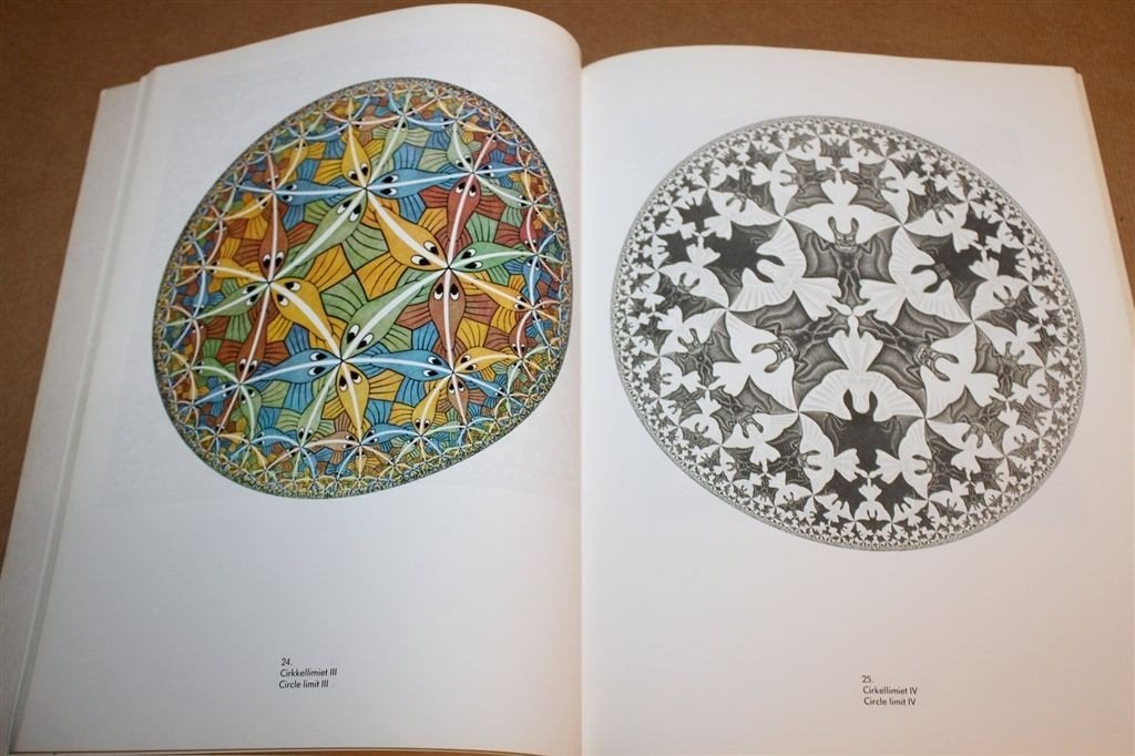 M.C. Escher — Grafiek en Tekeningen, Houtsneden en Lithos, Ophalen of Verzenden, Gelezen