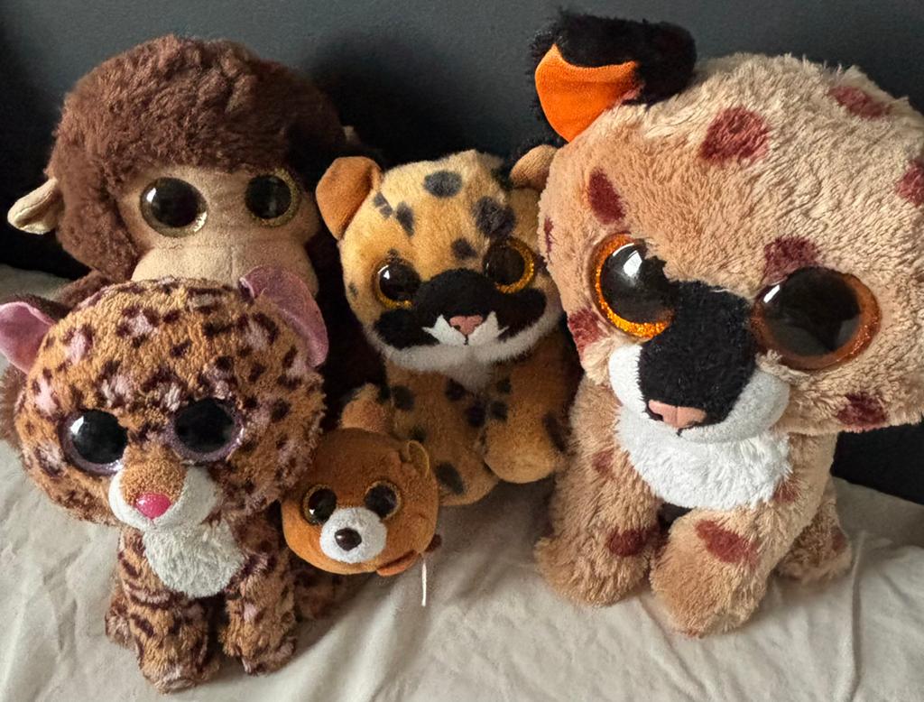 Knuffels TY Beanie Boo, Overige karakters, Overige typen, Ophalen of Verzenden, Zo goed als nieuw