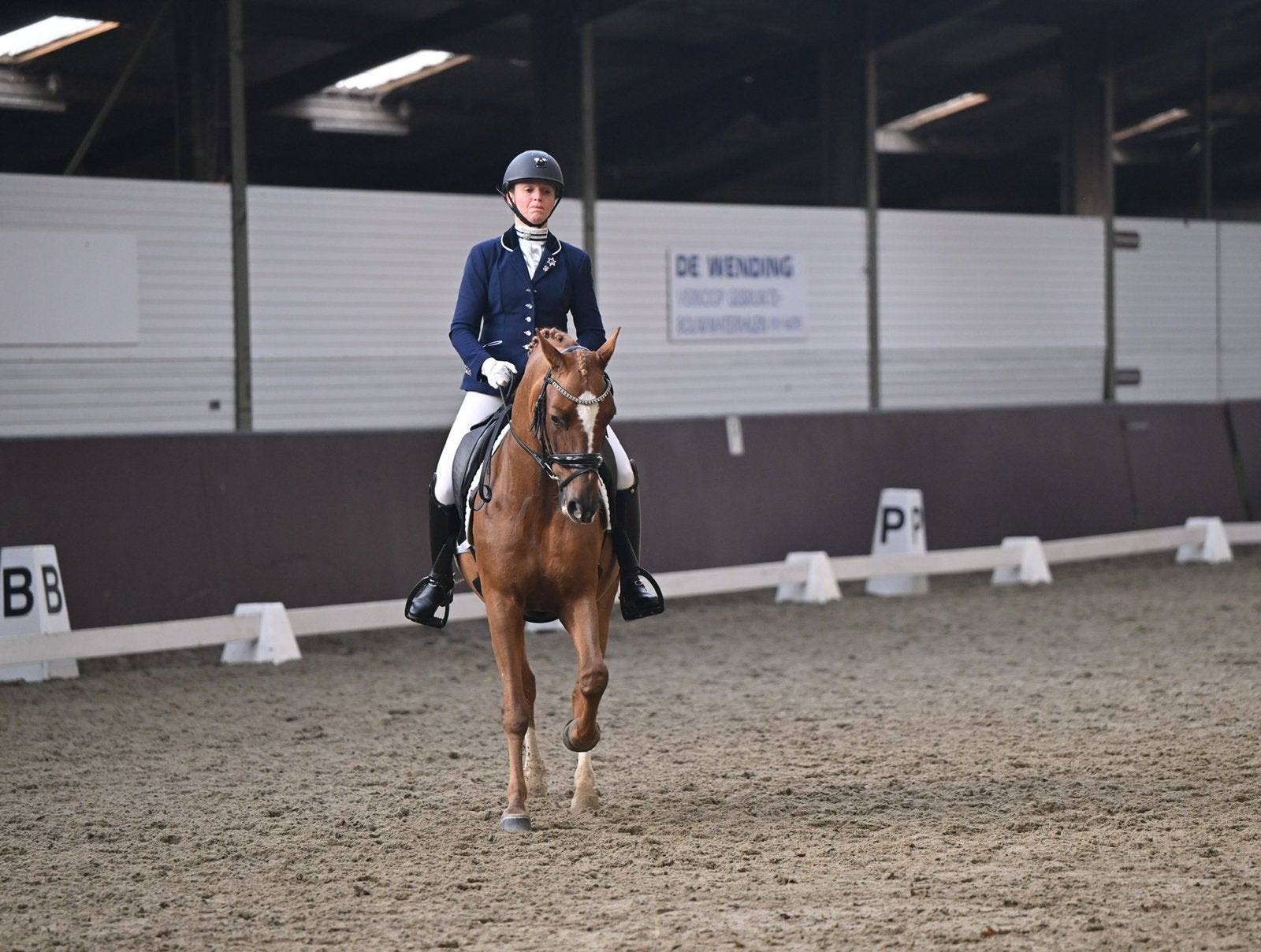 Schoolmaster, 10 jarige ZZ-licht dressuur D pony ruin!!!, Dieren en Toebehoren, Pony's, ZZ, Met stamboom, Ruin, 7 tot 10 jaar