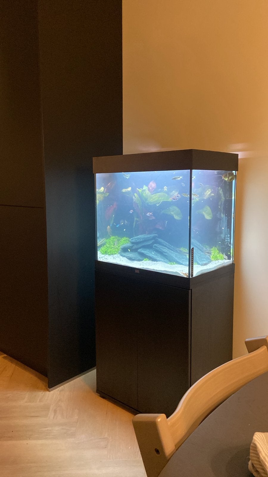 Lido 200, Ophalen, Zo goed als nieuw, Leeg aquarium