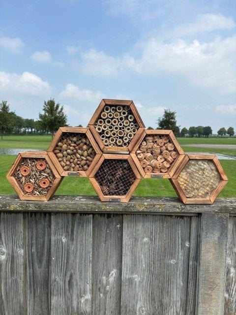 Insectenhuis mini zeshoek handgemaakt op voorraad, Ophalen of Verzenden, Nieuw