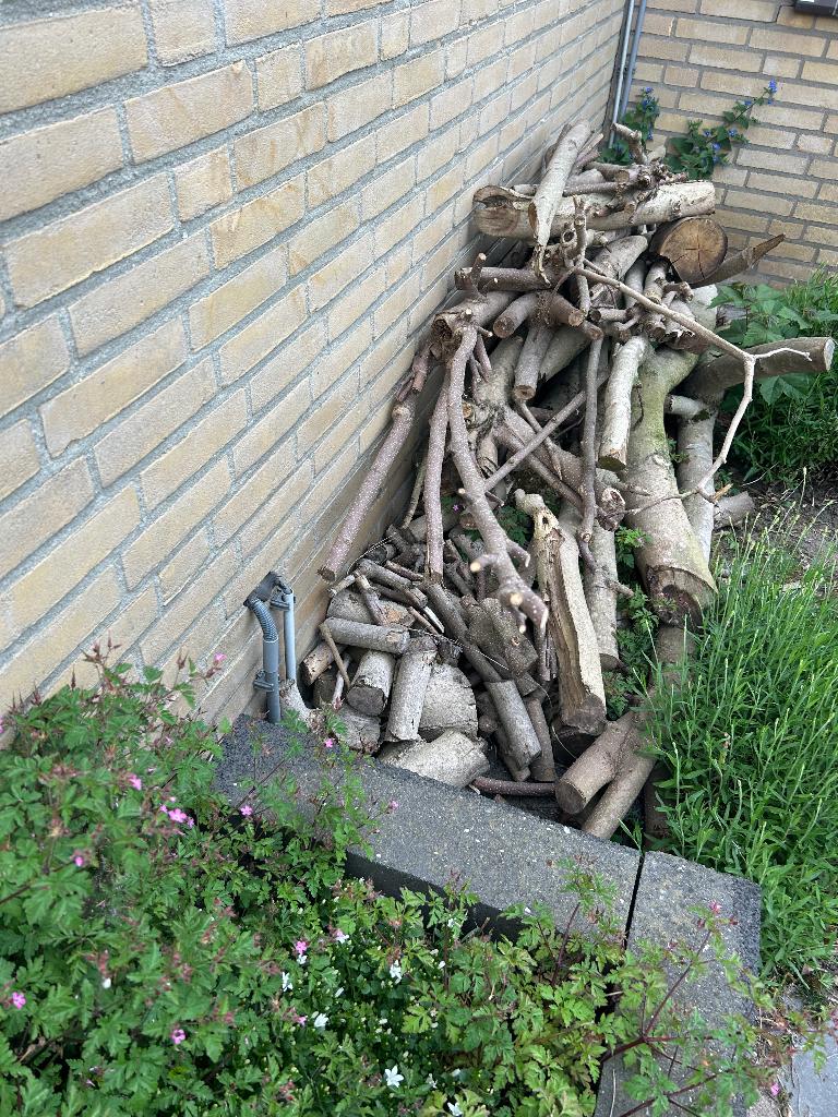 haardhout (magnolia boom), Minder dan 3 m³, Ophalen, Overige houtsoorten