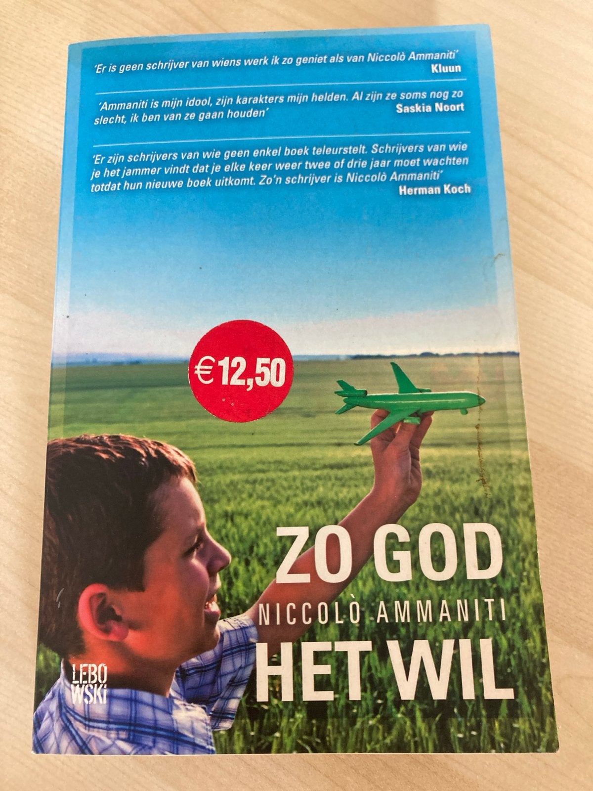 Zo God Het Wil - Niccolò Ammaniti (Boek), Ophalen of Verzenden, Zo goed als nieuw, Europa overig