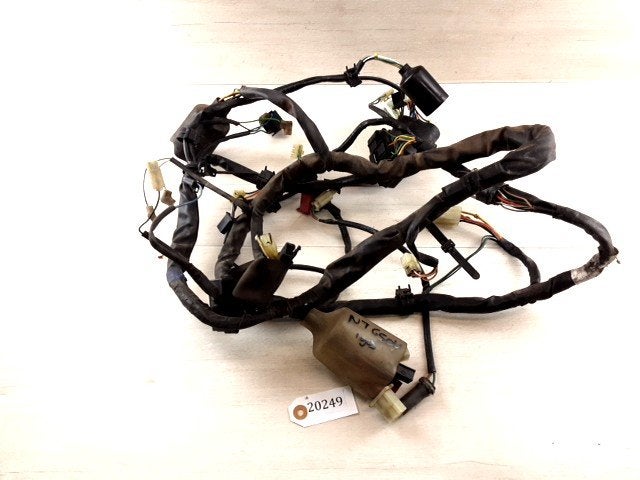 NT650V 1998 - 2001 Honda Kabelboom Kabelboom hoofd D1-38131