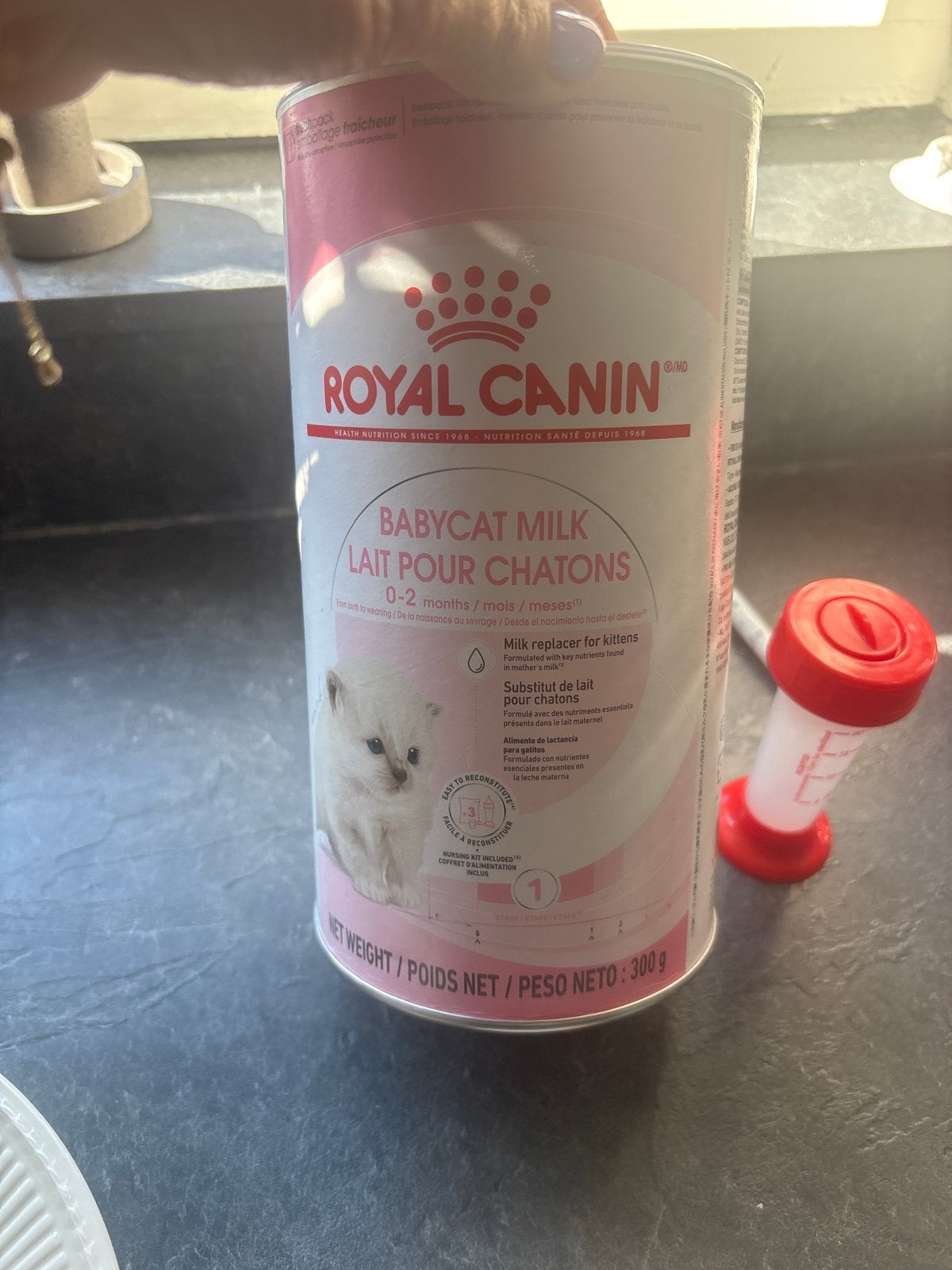 Kittenmelk, Dieren en Toebehoren, Dierenvoeding, Verzenden, Kat