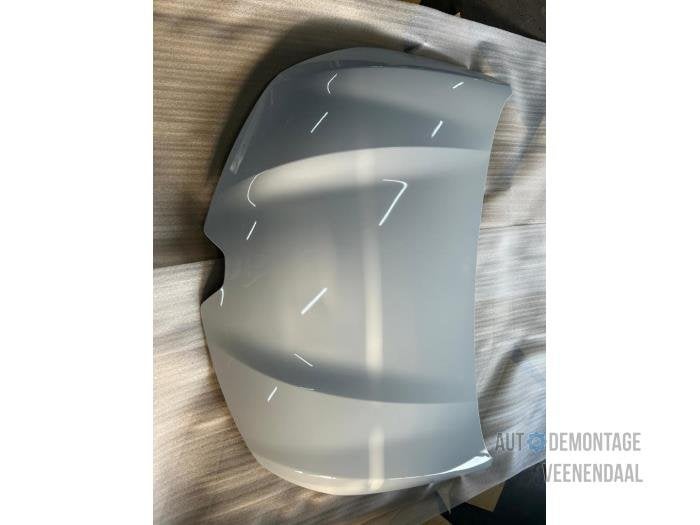 Motorkap van een Renault Clio (OV369), Auto-onderdelen, -, Renault, -, Nieuw