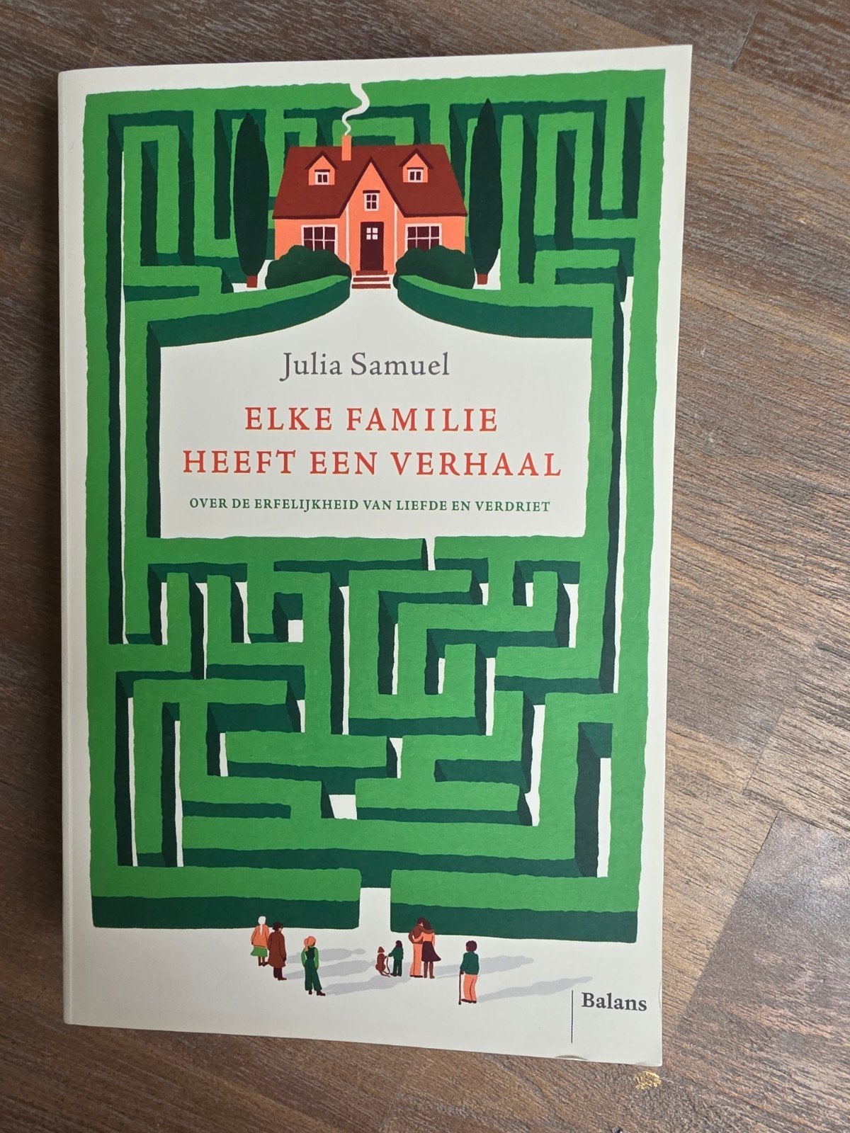 Julia Samuel - Elke familie heeft een verhaal, Ophalen of Verzenden, Zo goed als nieuw, Julia Samuel