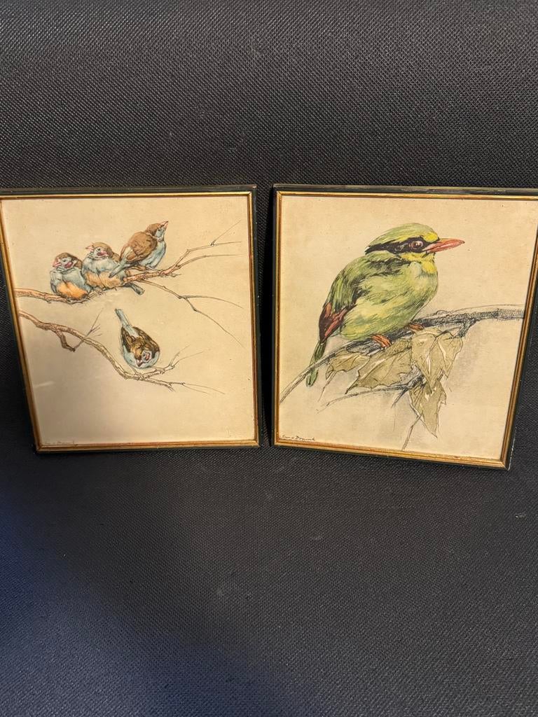 2 X Aquarel Timon Doornik, Antiek en Kunst, Kunst | Etsen en Gravures, Ophalen of Verzenden