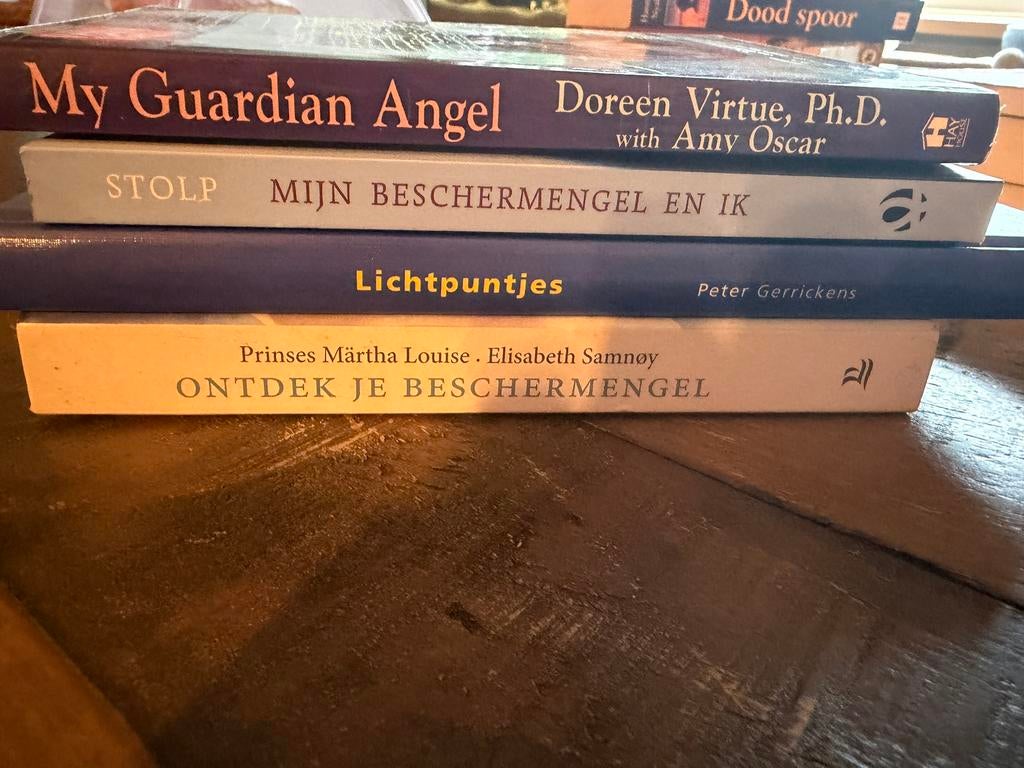 Engelen boeken, Boeken, Ophalen of Verzenden, Zo goed als nieuw, Tarot of Kaarten leggen, Overige typen