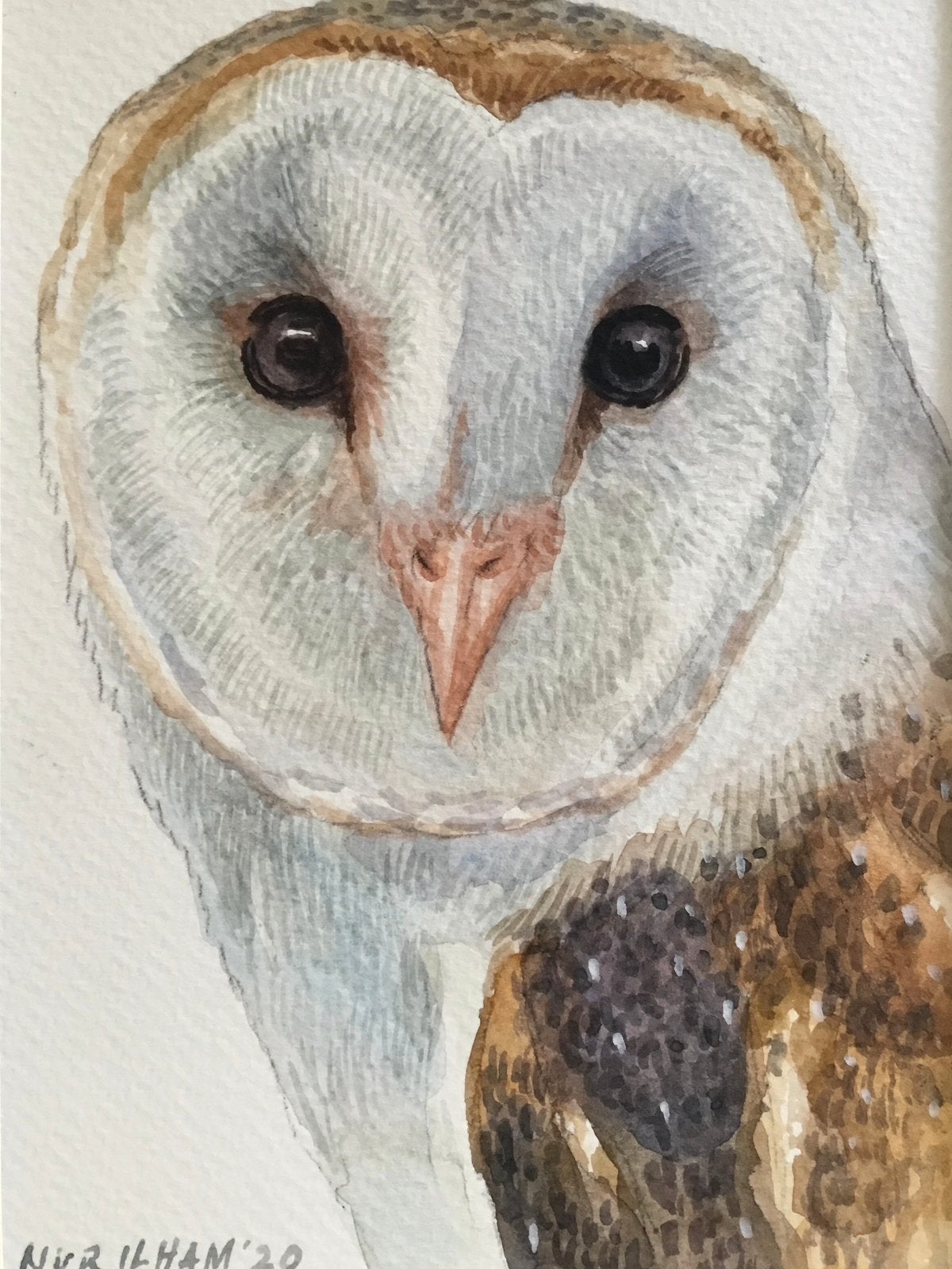 Aquarel kerkuil geschilderd door Nur Ilham, Ophalen of Verzenden